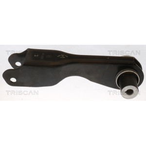 TRISCAN 8500 165061 Rameno zavesenia kolies pre