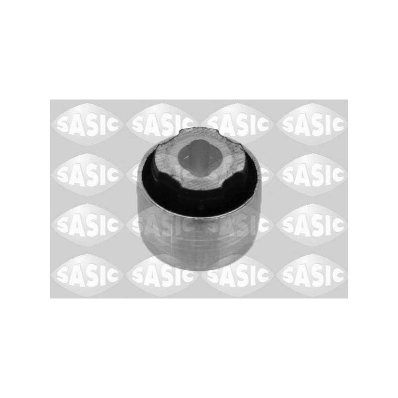SASIC 2250029 Braccio oscillante per