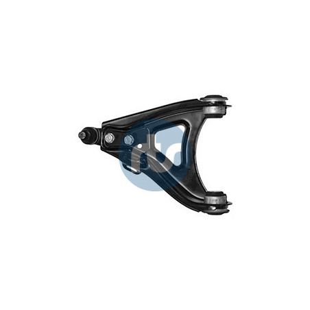 RTS 96-09230-2 Braccio oscillante per