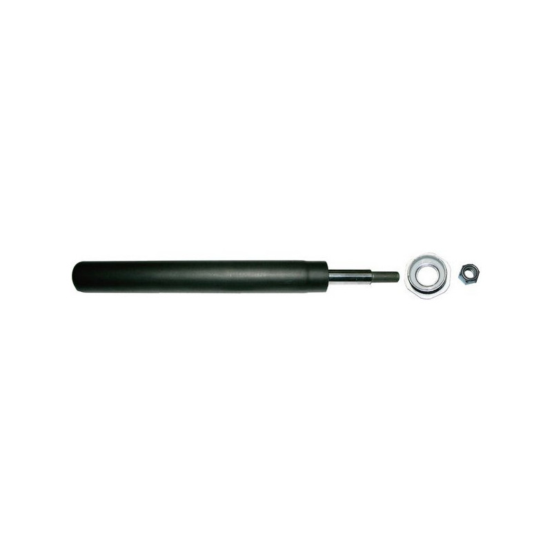 DENCKERMANN DSD004O Ammortizzatore Anteriore per