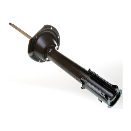 DENCKERMANN DSB073G Ammortizzatore