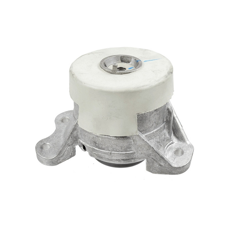 LEMFÖRDER 42569 01 Motorlager für Mercedes C E