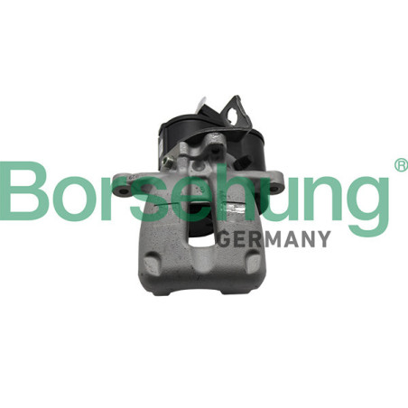 BORSEHUNG B19223 Pinza de freno
