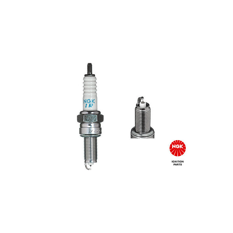 NGK 91064 SIMR8A9 Zündkerze für F430 360 599 Quattroporte 4200 GRAN 8C GranCabrio Gransport MC12
