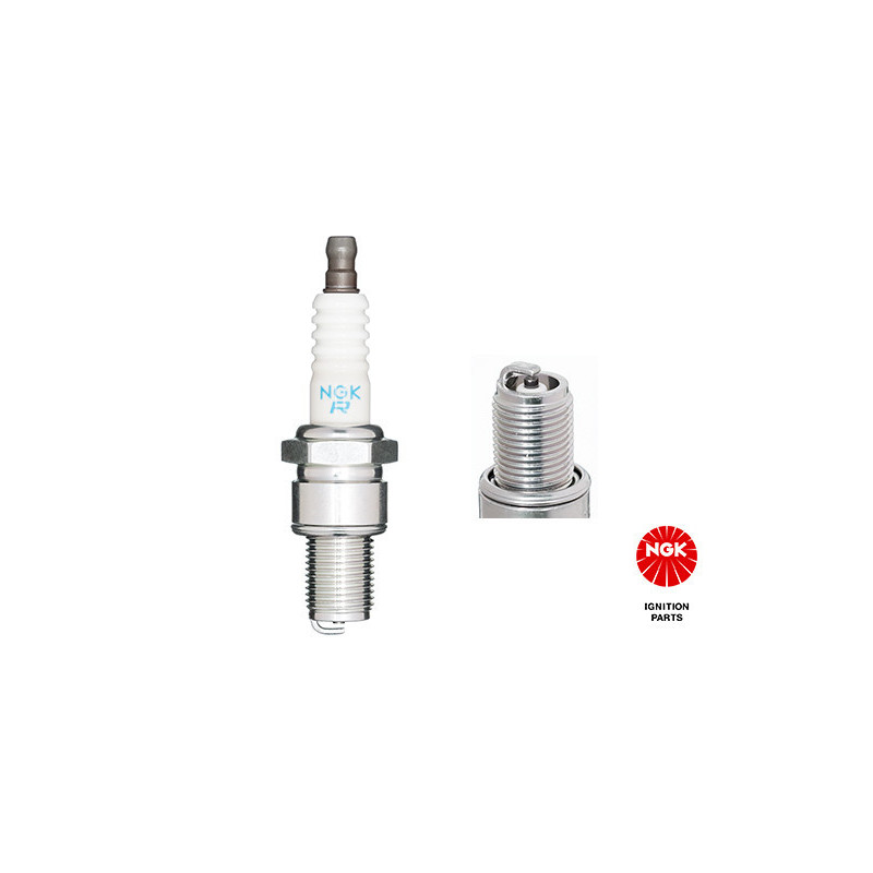 NGK 4684 BR10ES Spark Plug for