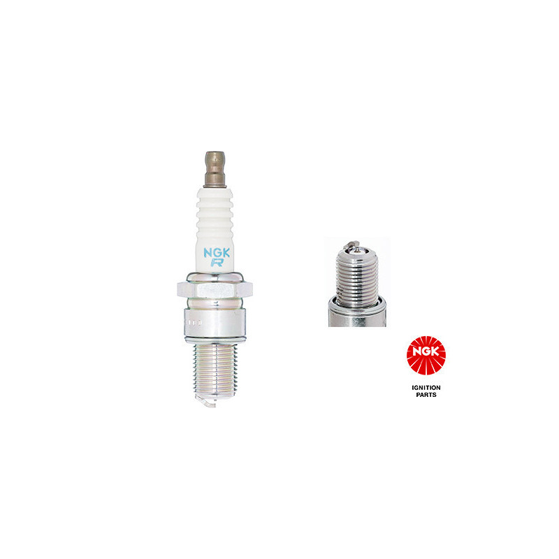 NGK 2954 R6918B9 Spark Plug for