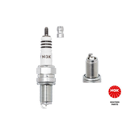 NGK 3606 DCR8EIX Bougie d'allumage pour 3 MF3 Z3 Z4 Roadster