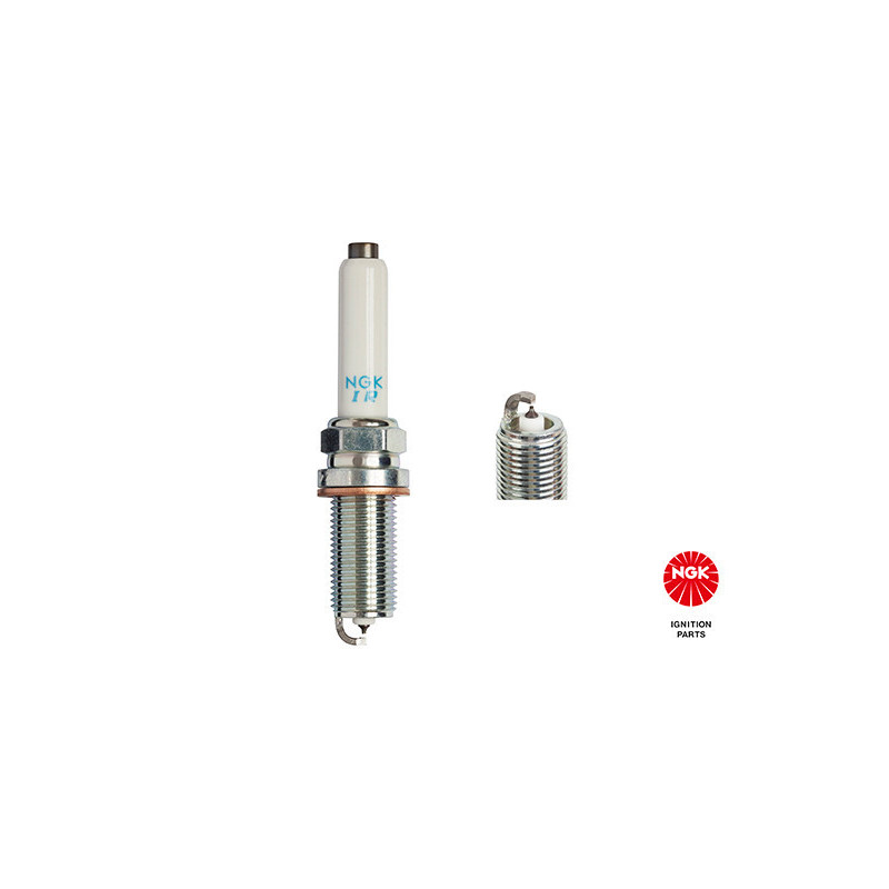 NGK 91006 ­SILFER8C7ES Zündkerze für Continental A3 A6 A7 A8 Q3 TT Formentor