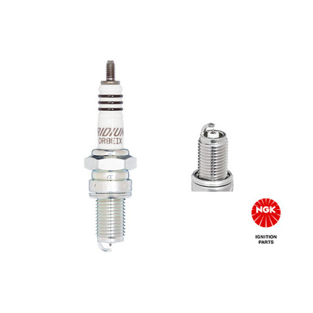 NGK 6681 DR8EIX Bougie d'allumage pour Mondial Testarossa M1 Thema