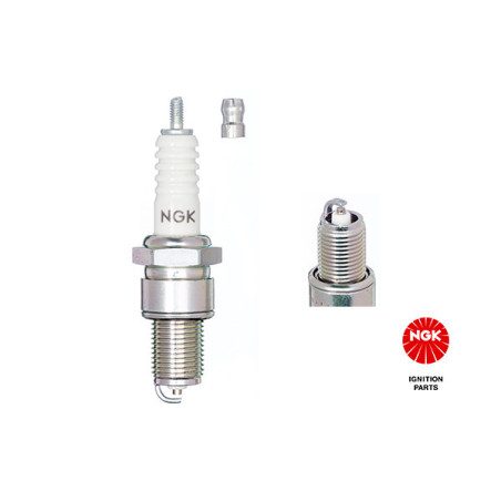 NGK 2412 BP7ES Spark Plug for 21 Clio 19 Trafic 100 11 6 850 Pagode Passat S W111 /8 124 125 131 132