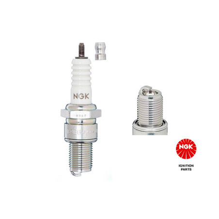 NGK 3630 B10EG Spark Plug for