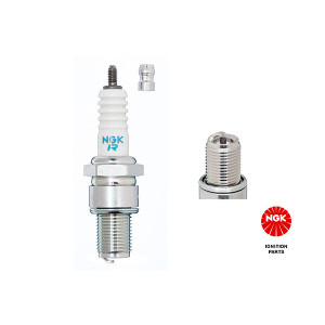 NGK 3972 BR8ECS Spark Plug for 911 Seven Y10
