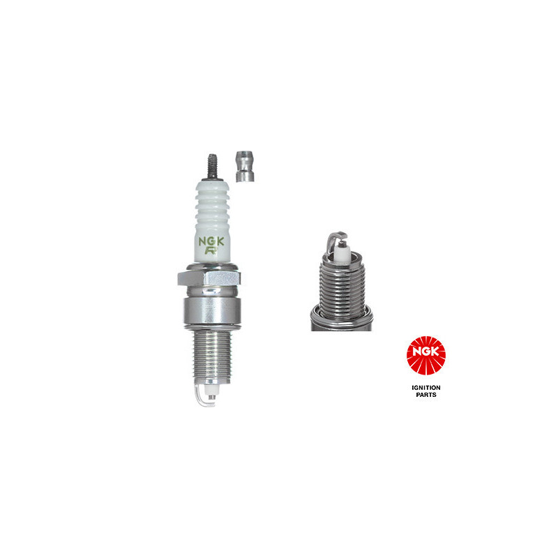 NGK 5839 ZGR5A Bujía de encendido para 3 5 7 6 Freeclimber M20 Z1