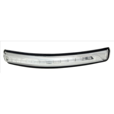 TYC 317-0047-3 Lampa kierunkowskazu