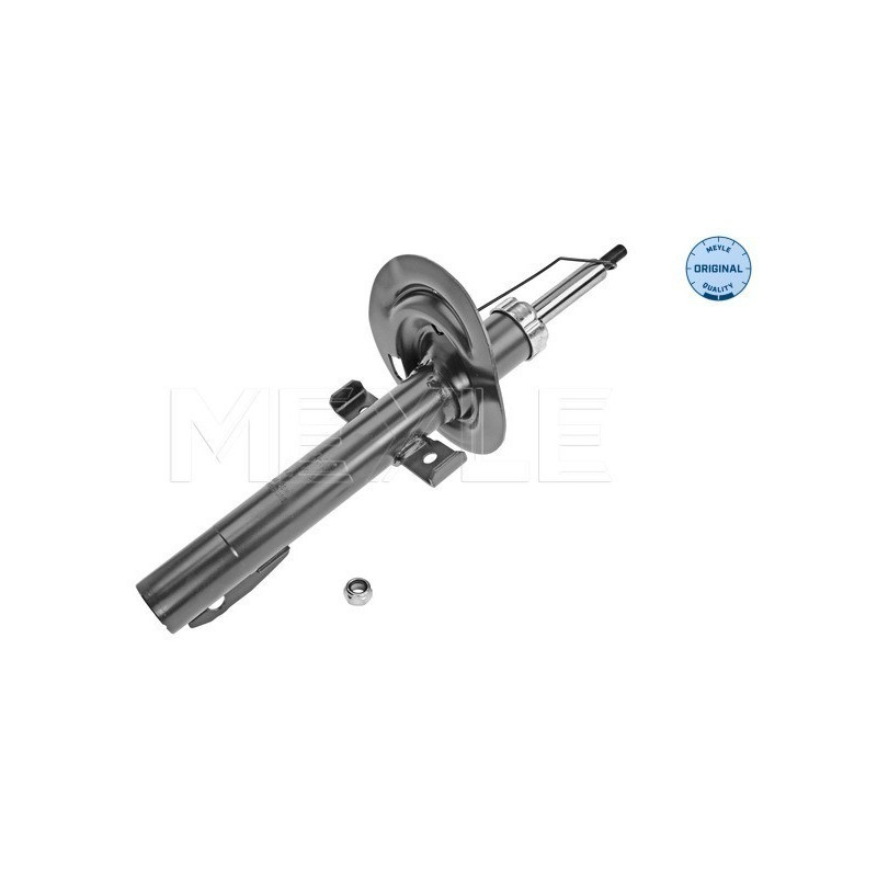 MEYLE 16-26 623 0005 Ammortizzatore anteriore per Renault Scenic