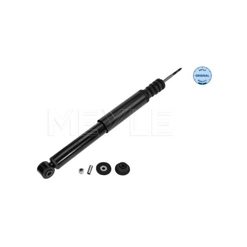 MEYLE 16-26 725 0009 Amortisseur arrière pour Renault Clio