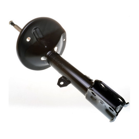 DENCKERMANN DSB079G Ammortizzatore