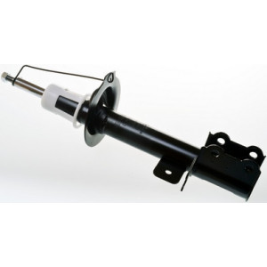 DENCKERMANN DSB142G Amortyzator Tył dla