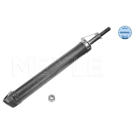MEYLE 026 625 0007 Shock Absorber Front for Smart City-Coupe Cabrio