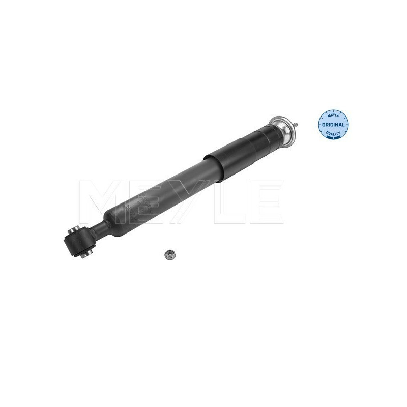MEYLE 026 725 0003 Amortisseur arrière pour Mercedes S