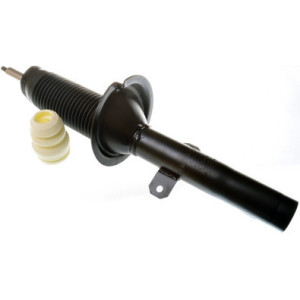 DENCKERMANN DSB171G Shock Absorber Damper Front for