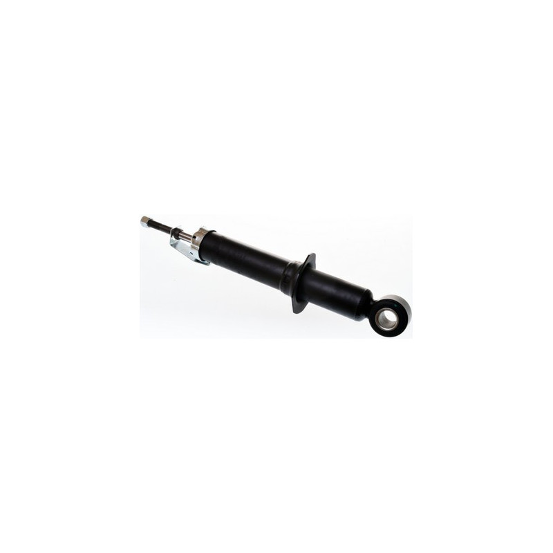DENCKERMANN DSB174G Shock Absorber Damper Rear for