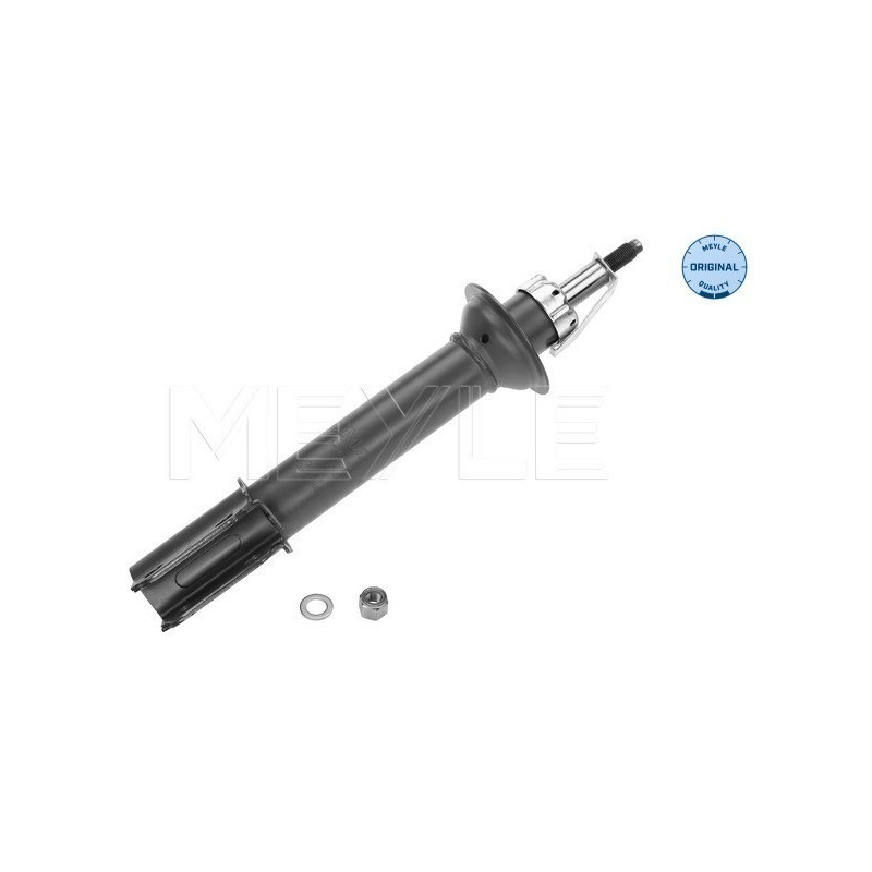 MEYLE 16-26 623 0009 Amortisseur avant pour Renault Megane Scenic