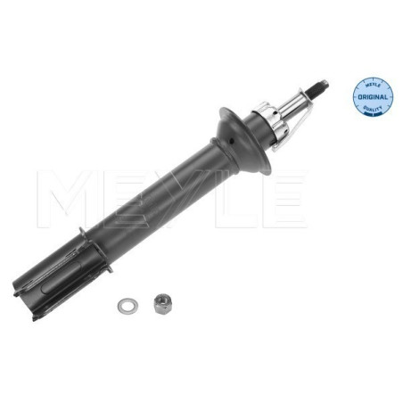 MEYLE 16-26 623 0009 Shock Absorber Front for Renault Megane Scenic