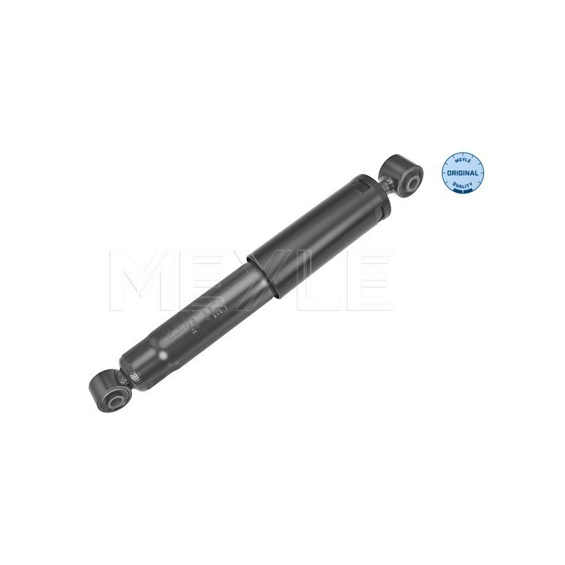MEYLE 16-26 725 0002 Shock Absorber Rear for Kangoo Kubistar