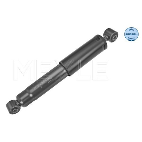 MEYLE 16-26 725 0002 Stoßdämpfer Hinten für Kangoo Kubistar