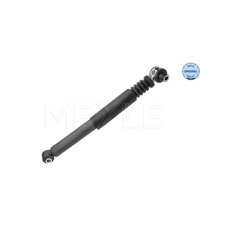 MEYLE 16-26 725 0005 Amortisseur arrière pour Renault Megane