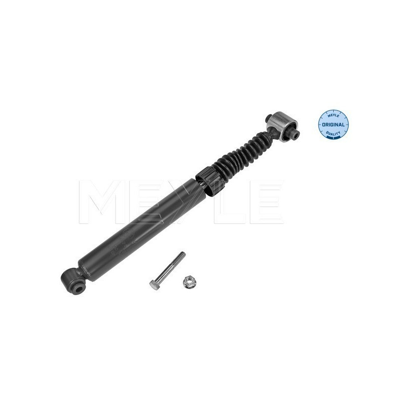 MEYLE 16-26 725 0013 Amortisseur arrière pour Renault Megane Scenic
