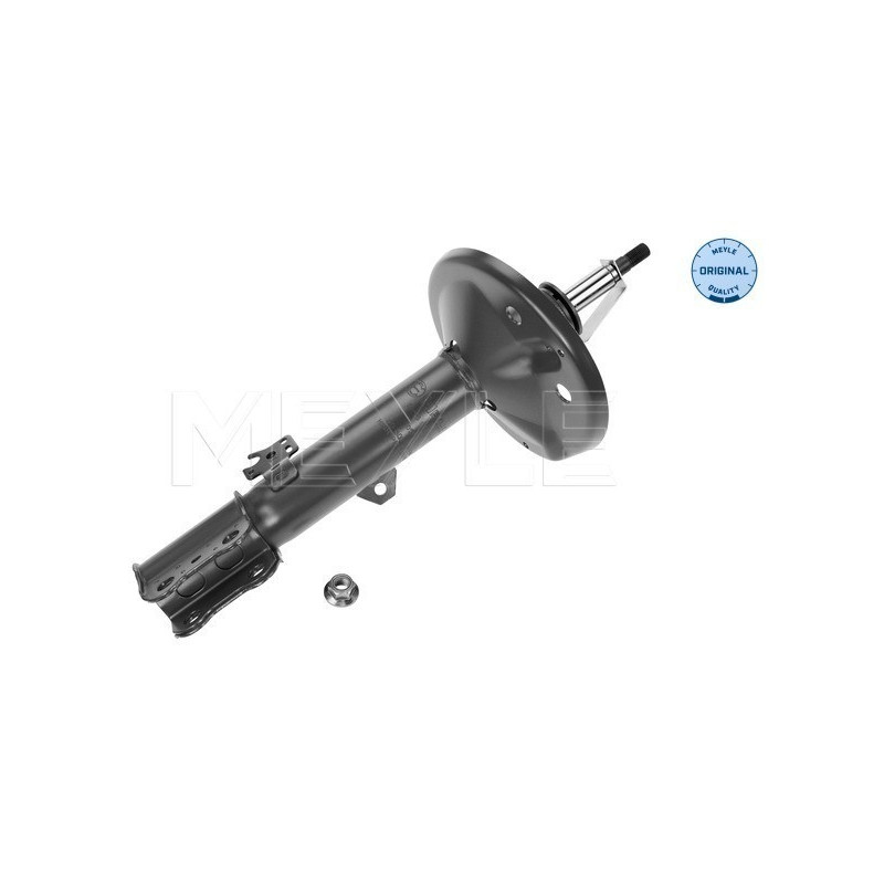 MEYLE 30-26 623 0028 Amortisseur avant gauche pour Toyota RAV 4