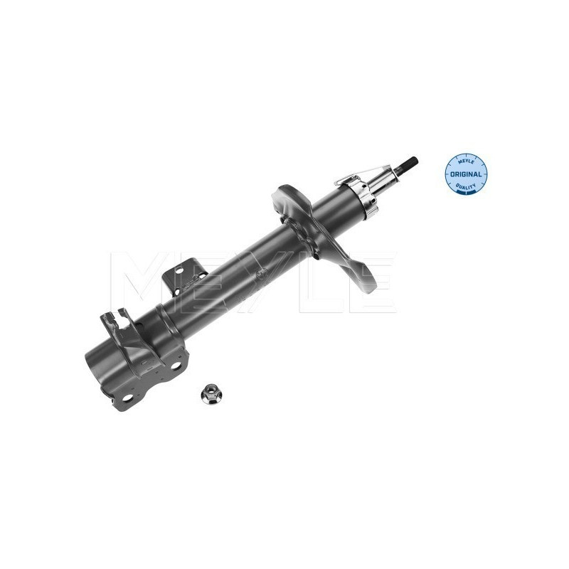 MEYLE 36-26 723 0000 Amortisseur arrière gauche pour Nissan X-Trail