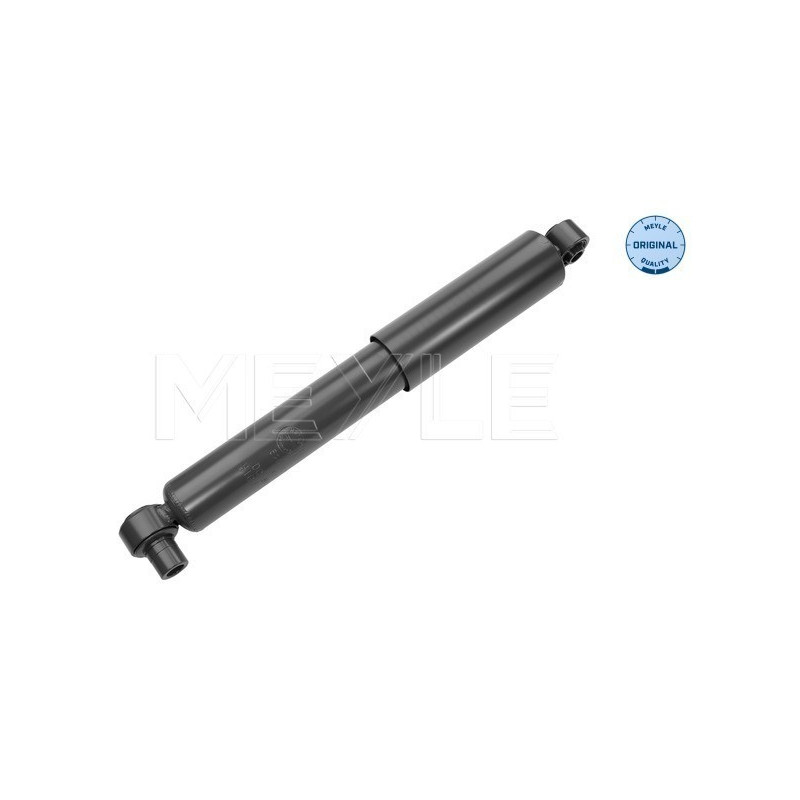 MEYLE 626 625 0001 Ammortizzatore anteriore per Movano Master Interstar