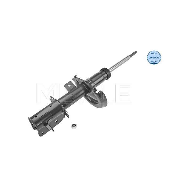 MEYLE 40-26 623 0020 Shock Absorber Front Right for Expert JUMPY Scudo 206+