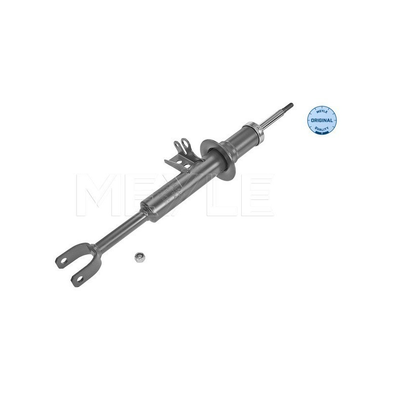 MEYLE 326 625 0000 Ammortizzatore anteriore sinistra per BMW 5 6