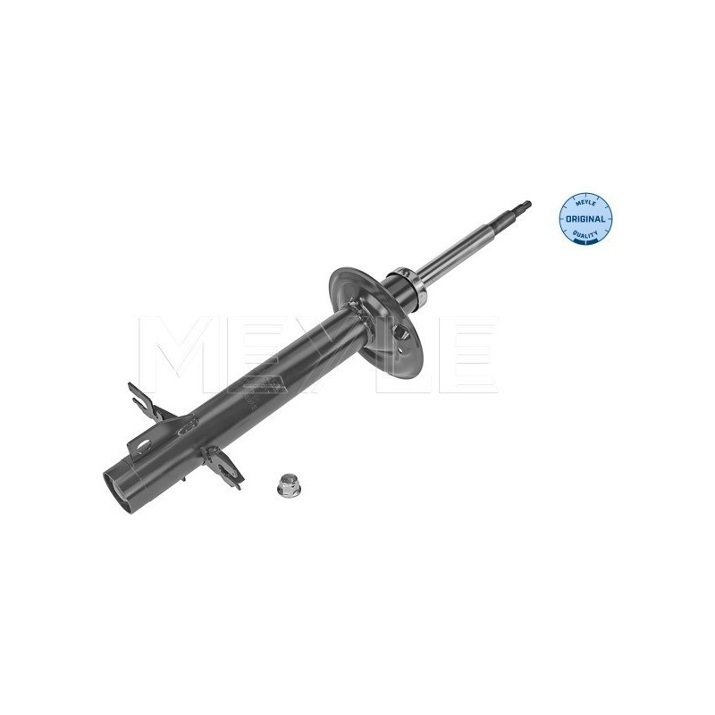 MEYLE 226 623 0017 Stoßdämpfer Vorne für Ducato Boxer JUMPER Movano