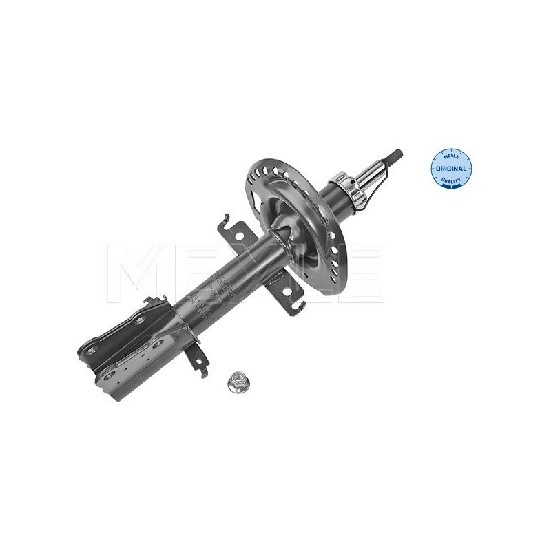 MEYLE 16-26 623 0011 Shock Absorber Front for Kangoo Citan