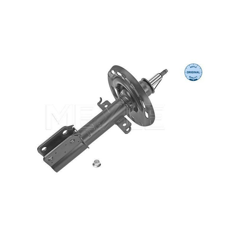 MEYLE 16-26 623 0016 Shock Absorber Front for Renault Scenic
