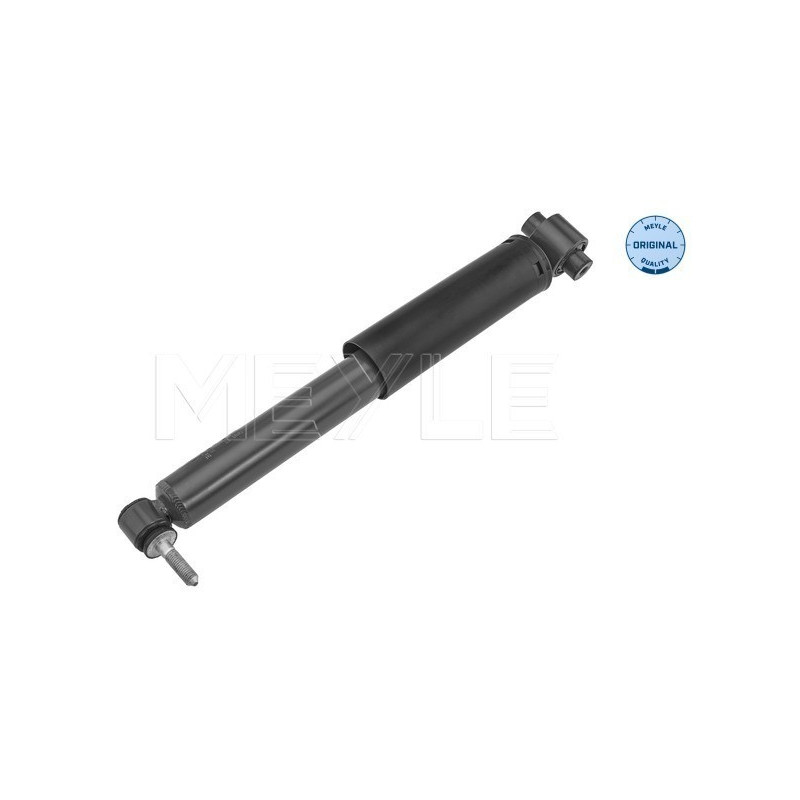 MEYLE 16-26 725 0022 Stoßdämpfer Hinten für Renault Scenic Espace
