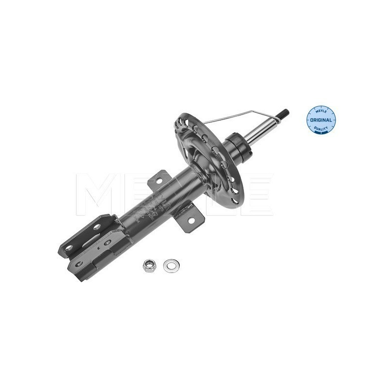 MEYLE 16-26 623 0019 Shock Absorber Front for Renault Clio