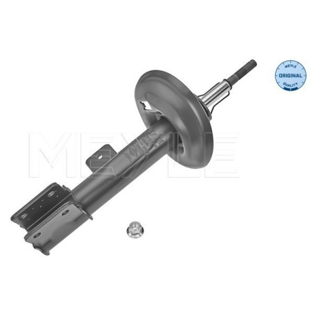 MEYLE 11-26 623 0019 Shock Absorber Front Right for 3008 DS4 C4 DS