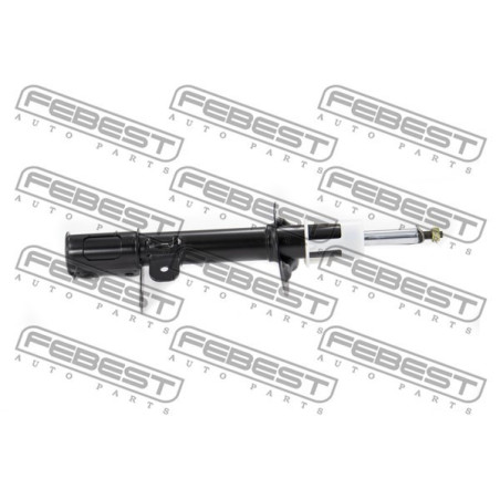 FEBEST 1007G-001RR Amortyzator Tył dla