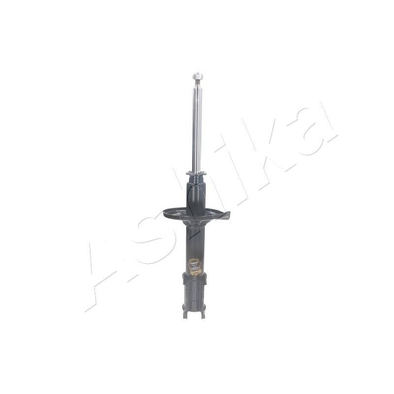 ASHIKA MA-33025 Shock Absorber Damper Rear for