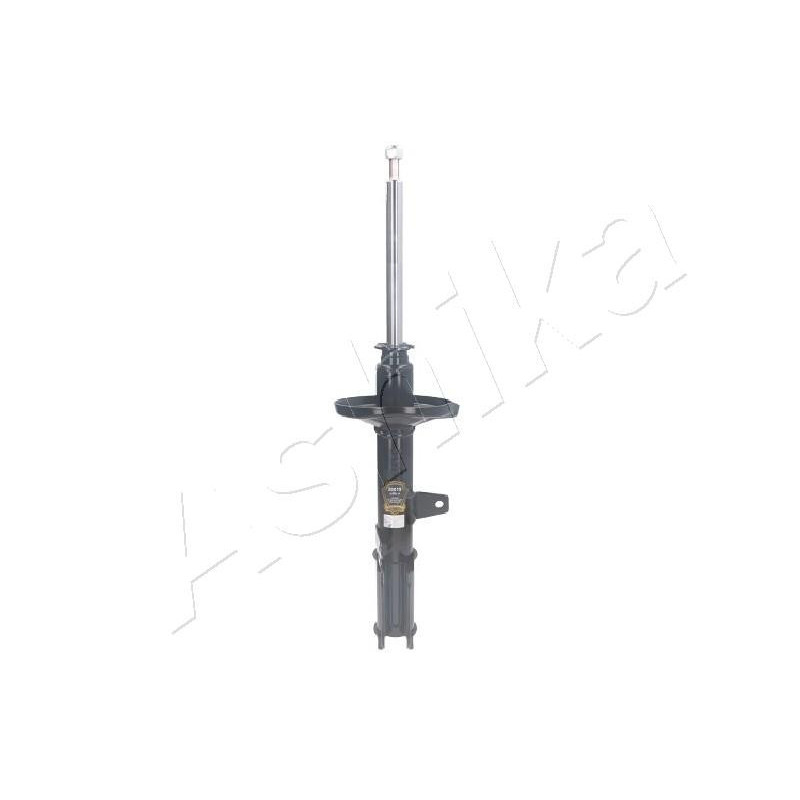 ASHIKA MA-20019 Shock Absorber Damper Rear for