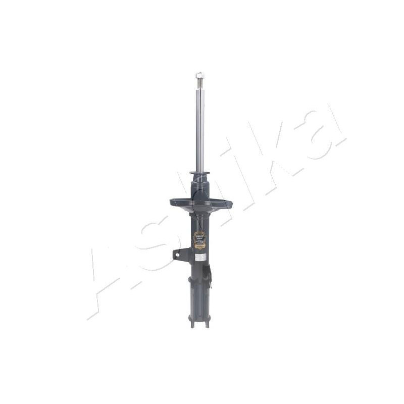 ASHIKA MA-20021 Shock Absorber Rear for