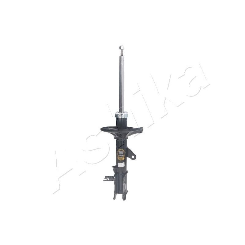 ASHIKA MA-HY029 Shock Absorber Rear for