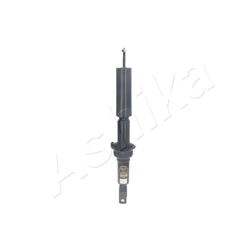 ASHIKA MA-40013 Stoßdämpfer Hinten für