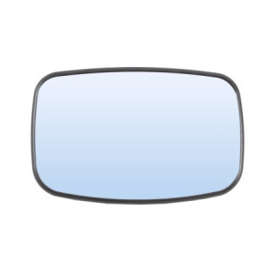 ABAKUS 1204G01 Vetro specchio per FORD / MAZDA
